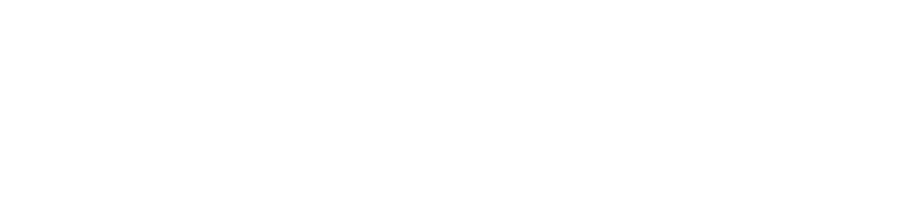 logo Llull